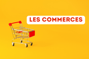 les commerces et les achats магазины и покупки во французском